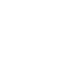 Loyltworks X profile